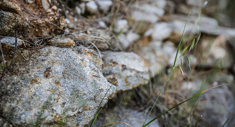 Paulett Wines Rock layer in Vineyard